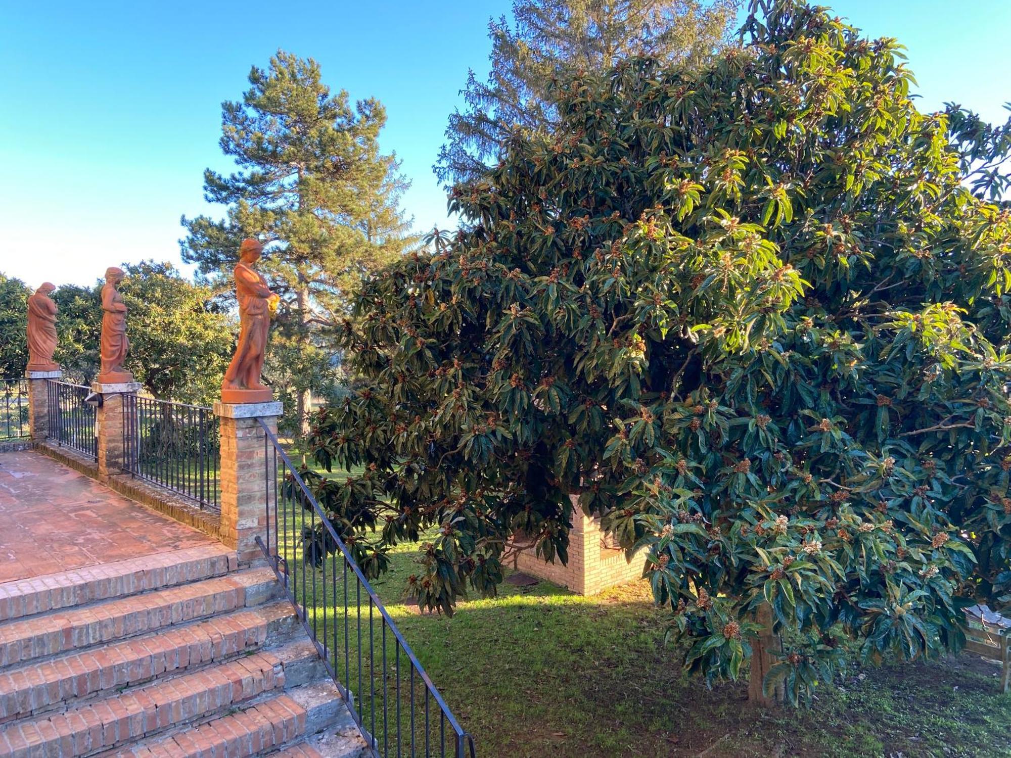 Casaletolfe Residence Siena Dış mekan fotoğraf
